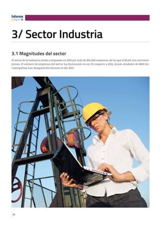 30
3/ Sector Industria
3.1 Magnitudes del sector
El sector de la industria estaba compuesto en 2013 por más de 204.000 emp...