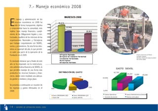 Informe Operacion 2008 Sigvol