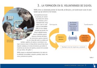 Informe Operacion 2008 Sigvol