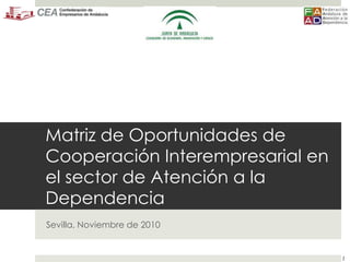 Matriz de Oportunidades de Cooperación Interempresarial en el sector de Atención a la Dependencia Sevilla, Noviembre de 2010 