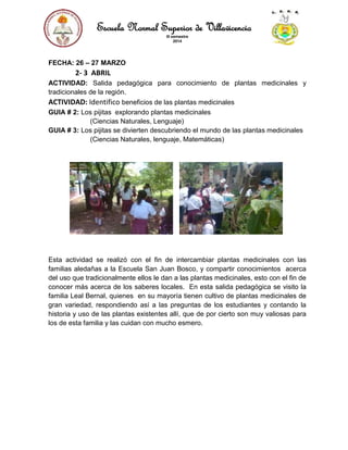 Escuela Normal Superior de Villavicencio
III semestre
2014
FECHA: 26 – 27 MARZO
2- 3 ABRIL
ACTIVIDAD: Salida pedagógica para conocimiento de plantas medicinales y
tradicionales de la región.
ACTIVIDAD: Identifico beneficios de las plantas medicinales
GUIA # 2: Los pijitas explorando plantas medicinales
(Ciencias Naturales, Lenguaje)
GUIA # 3: Los pijitas se divierten descubriendo el mundo de las plantas medicinales
(Ciencias Naturales, lenguaje, Matemáticas)
Esta actividad se realizó con el fin de intercambiar plantas medicinales con las
familias aledañas a la Escuela San Juan Bosco, y compartir conocimientos acerca
del uso que tradicionalmente ellos le dan a las plantas medicinales, esto con el fin de
conocer más acerca de los saberes locales. En esta salida pedagógica se visito la
familia Leal Bernal, quienes en su mayoría tienen cultivo de plantas medicinales de
gran variedad, respondiendo así a las preguntas de los estudiantes y contando la
historia y uso de las plantas existentes allí, que de por cierto son muy valiosas para
los de esta familia y las cuidan con mucho esmero.
 