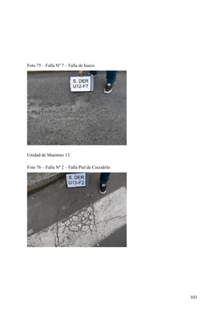 Foto 75 – Falla Nº 7 – Falla de hueco
Unidad de Muestreo 13
Foto 76 – Falla Nº 2 – Falla Piel de Cocodrilo
103
 