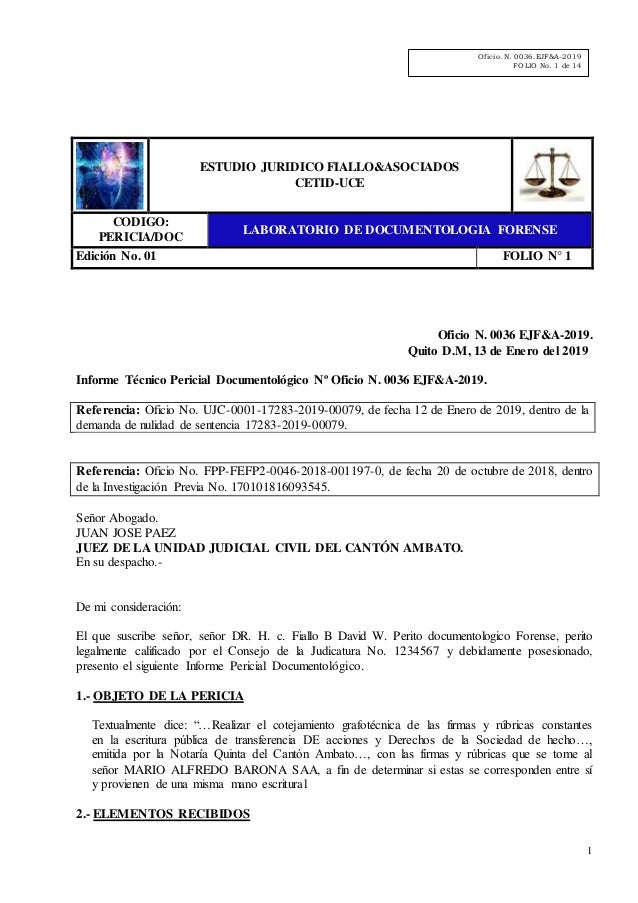Informe Pericial Forense 2019
