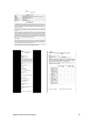 Legislar los derechos de los perros 11
 