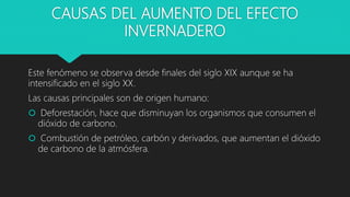 CAUSAS DEL AUMENTO DEL EFECTO
INVERNADERO
Este fenómeno se observa desde finales del siglo XIX aunque se ha
intensificado en el siglo XX.
Las causas principales son de origen humano:
 Deforestación, hace que disminuyan los organismos que consumen el
dióxido de carbono.
 Combustión de petróleo, carbón y derivados, que aumentan el dióxido
de carbono de la atmósfera.
 