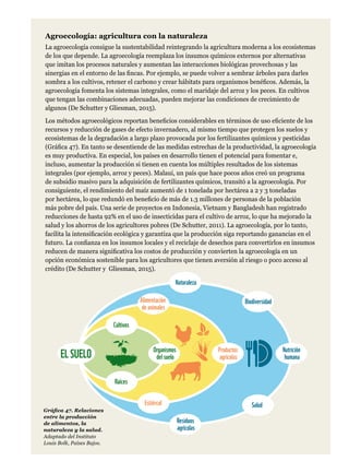 Agroecología: agricultura con la naturaleza
La agroecología consigue la sustentabilidad reintegrando la agricultura moderna a los ecosistemas
de los que depende. La agroecología reemplaza los insumos químicos externos por alternativas
que imitan los procesos naturales y aumentan las interacciones biológicas provechosas y las
sinergias en el entorno de las fincas. Por ejemplo, se puede volver a sembrar árboles para darles
sombra a los cultivos, retener el carbono y crear hábitats para organismos benéficos. Además, la
agroecología fomenta los sistemas integrales, como el maridaje del arroz y los peces. En cultivos
que tengan las combinaciones adecuadas, pueden mejorar las condiciones de crecimiento de
algunos (De Schutter y Gliesman, 2015).
Los métodos agroecológicos reportan beneficios considerables en términos de uso eficiente de los
recursos y reducción de gases de efecto invernadero, al mismo tiempo que protegen los suelos y
ecosistemas de la degradación a largo plazo provocada por los fertilizantes químicos y pesticidas
(Gráfica 47). En tanto se desentiende de las medidas estrechas de la productividad, la agroecología
es muy productiva. En especial, los países en desarrollo tienen el potencial para fomentar e,
incluso, aumentar la producción si tienen en cuenta los múltiples resultados de los sistemas
integrales (por ejemplo, arroz y peces). Malaui, un país que hace pocos años creó un programa
de subsidio masivo para la adquisición de fertilizantes químicos, transitó a la agroecología. Por
consiguiente, el rendimiento del maíz aumentó de 1 tonelada por hectárea a 2 y 3 toneladas
por hectárea, lo que redundó en beneficio de más de 1.3 millones de personas de la población
más pobre del país. Una serie de proyectos en Indonesia, Vietnam y Bangladesh han registrado
reducciones de hasta 92% en el uso de insecticidas para el cultivo de arroz, lo que ha mejorado la
salud y los ahorros de los agricultores pobres (De Schutter, 2011). La agroecología, por lo tanto,
facilita la intensificación ecológica y garantiza que la producción siga reportando ganancias en el
futuro. La confianza en los insumos locales y el reciclaje de desechos para convertirlos en insumos
reducen de manera significativa los costos de producción y convierten la agroecología en un
opción económica sostenible para los agricultores que tienen aversión al riesgo o poco acceso al
crédito (De Schutter y Gliesman, 2015).
ELSUELO
Salud
Biodiversidad
Estiércol
Naturaleza
Raíces
Cultivos
Alimentación
deanimales
Organismos
delsuelo
Residuos
agrícolas
Productos
agrícolas
Nutrición
humana
Gráfica 47. Relaciones
entre la producción
de alimentos, la
naturaleza y la salud.
Adaptado del Instituto
Louis Bolk, Países Bajos.
 