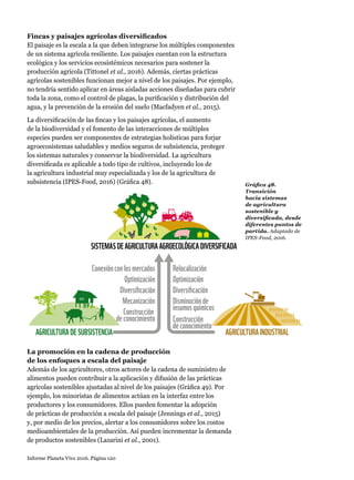 Informe Planeta Vivo 2016. Página 120
Fincas y paisajes agrícolas diversificados
El paisaje es la escala a la que deben integrarse los múltiples componentes
de un sistema agrícola resiliente. Los paisajes cuentan con la estructura
ecológica y los servicios ecosistémicos necesarios para sostener la
producción agrícola (Tittonel et al., 2016). Además, ciertas prácticas
agrícolas sostenibles funcionan mejor a nivel de los paisajes. Por ejemplo,
no tendría sentido aplicar en áreas aisladas acciones diseñadas para cubrir
toda la zona, como el control de plagas, la purificación y distribución del
agua, y la prevención de la erosión del suelo (Macfadyen et al., 2015).
La diversificación de las fincas y los paisajes agrícolas, el aumento
de la biodiversidad y el fomento de las interacciones de múltiples
especies pueden ser componentes de estrategias holísticas para forjar
agroecosistemas saludables y medios seguros de subsistencia, proteger
los sistemas naturales y conservar la biodiversidad. La agricultura
diversificada es aplicable a todo tipo de cultivos, incluyendo los de
la agricultura industrial muy especializada y los de la agricultura de
subsistencia (IPES-Food, 2016) (Gráfica 48).
La promoción en la cadena de producción
de los enfoques a escala del paisaje
Además de los agricultores, otros actores de la cadena de suministro de
alimentos pueden contribuir a la aplicación y difusión de las prácticas
agrícolas sostenibles ajustadas al nivel de los paisajes (Gráfica 49). Por
ejemplo, los minoristas de alimentos actúan en la interfaz entre los
productores y los consumidores. Ellos pueden fomentar la adopción
de prácticas de producción a escala del paisaje (Jennings et al., 2015)
y, por medio de los precios, alertar a los consumidores sobre los costos
medioambientales de la producción. Así pueden incrementar la demanda
de productos sostenibles (Lazarini et al., 2001).
Construcción
deconocimiento
Mecanización
Diversiﬁcación
Conexiónconlosmercados Relocalización
Optimización
Diversiﬁcación
Disminuciónde
insumosquímicos
Construcción
deconocimiento
SISTEMASDEAGRICULTURAAGROECOLÓGICADIVERSIFICADA
AGRICULTURAINDUSTRIALAGRICULTURADESUBSISTENCIA
Optimización
Gráfica 48.
Transición
hacia sistemas
de agricultura
sostenible y
diversificada, desde
diferentes puntos de
partida. Adaptado de
IPES-Food, 2016.
 