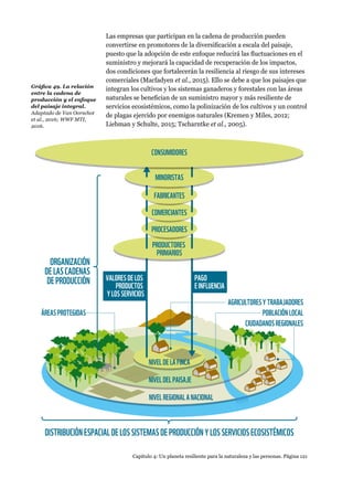 Capítulo 4: Un planeta resiliente para la naturaleza y las personas. Página 121
Las empresas que participan en la cadena de producción pueden
convertirse en promotores de la diversificación a escala del paisaje,
puesto que la adopción de este enfoque reducirá las fluctuaciones en el
suministro y mejorará la capacidad de recuperación de los impactos,
dos condiciones que fortalecerán la resiliencia al riesgo de sus intereses
comerciales (Macfadyen et al., 2015). Ello se debe a que los paisajes que
integran los cultivos y los sistemas ganaderos y forestales con las áreas
naturales se benefician de un suministro mayor y más resiliente de
servicios ecosistémicos, como la polinización de los cultivos y un control
de plagas ejercido por enemigos naturales (Kremen y Miles, 2012;
Liebman y Schulte, 2015; Tscharntke et al., 2005).
VALORESDELOS
PRODUCTOS
YLOSSERVICIOS
VALORESDELOS
PRODUCTOS
YLOSSERVICIOS
PAGO
EINFLUENCIA
PAGO
EINFLUENCIA
NIVELDELAFINCA
NIVELDELPAISAJE
NIVELREGIONALANACIONAL
ORGANIZACIÓN
DELASCADENAS
DEPRODUCCIÓN
DISTRIBUCIÓNESPACIALDELOSSISTEMASDEPRODUCCIÓNYLOSSERVICIOSECOSISTÉMICOS
PRODUCTORES
PRIMARIOS
PROCESADORES
COMERCIANTES
FABRICANTES
CONSUMIDORES
MINORISTAS
POBLACIÓNLOCAL
AGRICULTORESYTRABAJADORES
CIUDADANOSREGIONALES
ÁREASPROTEGIDAS
Gráfica 49. La relación
entre la cadena de
producción y el enfoque
del paisaje integral.
Adaptado de Van Oorschot
et al., 2016; WWF MTI,
2016.
 