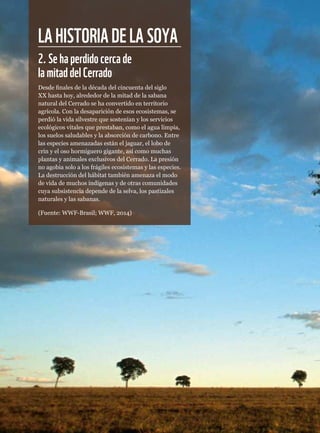 LAHISTORIADELASOYA
2.Sehaperdidocercade
lamitaddelCerrado
Desde finales de la década del cincuenta del siglo
XX hasta hoy, alrededor de la mitad de la sabana
natural del Cerrado se ha convertido en territorio
agrícola. Con la desaparición de esos ecosistemas, se
perdió la vida silvestre que sostenían y los servicios
ecológicos vitales que prestaban, como el agua limpia,
los suelos saludables y la absorción de carbono. Entre
las especies amenazadas están el jaguar, el lobo de
crin y el oso hormiguero gigante, así como muchas
plantas y animales exclusivos del Cerrado. La presión
no agobia solo a los frágiles ecosistemas y las especies.
La destrucción del hábitat también amenaza el modo
de vida de muchos indígenas y de otras comunidades
cuya subsistencia depende de la selva, los pastizales
naturales y las sabanas.
(Fuente: WWF-Brasil; WWF, 2014)
 