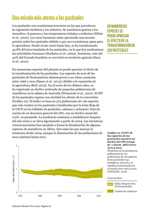 0
1
2
1970 1980 1990 2000 2010
Valordelíndice(1970=1)
Informe Planeta Vivo 2016. Página 26
Gráfica 10. El IPV de
las especies de los
pastizales muestra un
declive del 18% (rango
de +1 hasta -38%) entre
1970 y 2012.
Tendencia de la abundancia
poblacional de 372
poblaciones de 126 especies
de los pastizales (55
mamíferos, 58 aves y 13
reptiles) monitoreadas en
el mundo entre 1970 y 2012
(WWF/ZSL, 2016).
Índice Planeta Vivo
de los pastizales
Límites de confianza
Convenciones
Unamiradamásatentaalospastizales
Los pastizales son ecosistemas terrestres en los que prevalecen
la vegetación herbácea y los arbustos. Se mantienen gracias a los
incendios, el pastoreo y las temperaturas heladas o ardientes (White
et al., 2000). Los seres humanos están ejerciendo una enorme
presión sobre los pastizales debido a que son ecosistemas aptos para
la agricultura. Desde el año 2000 hasta hoy, se ha transformado
45.8% del área templada de los pastizales, en la que hoy predominan
las actividades humanas (Hoekstra et al., 2005). Asimismo, más del
40% del Cerrado brasileño se convirtió en territorio agrícola (Sano
et al., 2010).
En numerosas especies del planeta se puede apreciar el efecto de
la transformación de los pastizales. Las especies de aves de los
pastizales de Norteamérica disminuyeron a un ritmo constante
entre 1966 y 2011 (Sauer et al., 2013), debido a la expansión de
la agricultura (Reif, 2013). En el curso de los últimos años, se
ha registrado un declive acelerado de pequeñas poblaciones de
mamíferos en la sabana de Australia (Woinarski et al., 2010). El IPV
de los pastizales expone con claridad los efectos de la conversión
(Gráfica 10). El índice se basa en 372 poblaciones de 126 especies
que solo existen en los pastizales (clasificadas por la Lista Roja de
la UICN en los hábitats de pastizales, sabanas y arbustos). Esto da
cuenta de un descenso general del 18%, con un declive anual del
0.5%, en promedio. La tendencia comienza a estabilizarse después
del año 2000 y se eleva ligeramente a partir de 2004. Las iniciativas
conservacionistas han ayudado a frenar la disminución de algunas
especies de mamíferos en África. Son estas las que marcan la
tendencia desde 2004, aunque la disminución de las poblaciones de
aves continuó hasta 2012.
EN NUMEROSAS
ESPECIES SE
PUEDE APRECIAR
EL EFECTO DE LA
TRANSFORMACIÓN DE
LOS PASTIZALES
 