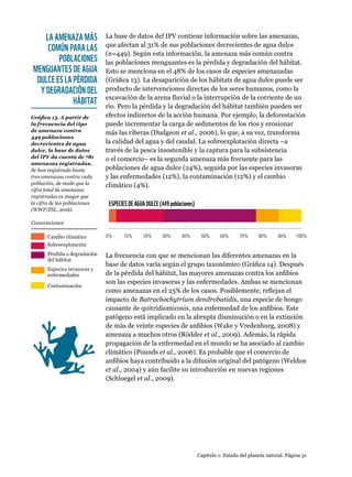 0% 10% 20% 30% 40% 50% 60% 70% 80% 90% 100%
ESPECIESDEAGUADULCE(449poblaciones)
LA AMENAZA MÁS
COMÚN PARA LAS
POBLACIONES
MENGUANTES DE AGUA
DULCE ES LA PÉRDIDA
Y DEGRADACIÓN DEL
HÁBITAT
Capítulo 1: Estado del planeta natural. Página 31
La base de datos del IPV contiene información sobre las amenazas,
que afectan al 31% de sus poblaciones decrecientes de agua dulce
(n=449). Según esta información, la amenaza más común contra
las poblaciones menguantes es la pérdida y degradación del hábitat.
Esto se menciona en el 48% de los casos de especies amenazadas
(Gráfica 13). La desaparición de los hábitats de agua dulce puede ser
producto de intervenciones directas de los seres humanos, como la
excavación de la arena fluvial o la interrupción de la corriente de un
río. Pero la pérdida y la degradación del hábitat también pueden ser
efectos indirectos de la acción humana. Por ejemplo, la deforestación
puede incrementar la carga de sedimentos de los ríos y erosionar
más las riberas (Dudgeon et al., 2006), lo que, a su vez, transforma
la calidad del agua y del caudal. La sobreexplotación directa –a
través de la pesca insostenible y la captura para la subsistencia
o el comercio– es la segunda amenaza más frecuente para las
poblaciones de agua dulce (24%), seguida por las especies invasoras
y las enfermedades (12%), la contaminación (12%) y el cambio
climático (4%).
La frecuencia con que se mencionan las diferentes amenazas en la
base de datos varía según el grupo taxonómico (Gráfica 14). Después
de la pérdida del hábitat, las mayores amenazas contra los anfibios
son las especies invasoras y las enfermedades. Ambas se mencionan
como amenazas en el 25% de los casos. Posiblemente, reflejan el
impacto de Batrachochytrium dendrobatidis, una especie de hongo
causante de quitridiomicosis, una enfermedad de los anfibios. Este
patógeno está implicado en la abrupta disminución o en la extinción
de más de veinte especies de anfibios (Wake y Vredenburg, 2008) y
amenaza a muchos otros (Rödder et al., 2009). Además, la rápida
propagación de la enfermedad en el mundo se ha asociado al cambio
climático (Pounds et al., 2006). Es probable que el comercio de
anfibios haya contribuido a la difusión original del patógeno (Weldon
et al., 2004) y aún facilite su introducción en nuevas regiones
(Schloegel et al., 2009).
Gráfica 13. A partir de
la frecuencia del tipo
de amenaza contra
449 poblaciones
decrecientes de agua
dulce, la base de datos
del IPV da cuenta de 781
amenazas registradas.
Se han registrado hasta
tres amenazas contra cada
población, de modo que la
cifra total de amenazas
registradas es mayor que
la cifra de las poblaciones
(WWF/ZSL, 2016).
Sobreexplotación
Pérdida o degradación
del hábitat
Especies invasoras y
enfermedades
Contaminación
Cambio climático
Convenciones
 