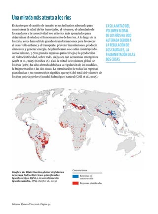 Represas en
construcción
Represas planificadas
Convenciones
Gráfica 16. Distribución global de futuras
represas hidroeléctricas, planificadas
(puntos rojos, 83%) o en construcción
(puntos azules, 17%) (Zarfl et al., 2015).
CASI LA MITAD DEL
VOLUMEN GLOBAL
DE LOS RÍOS HA SIDO
ALTERADA DEBIDO A
LA REGULACIÓN DE
LOS CAUDALES, LA
FRAGMENTACIÓN O LAS
DOS COSAS
Informe Planeta Vivo 2016. Página 34
Unamiradamásatentaalosríos
En tanto que el cambio de tamaño es un indicador adecuado para
monitorear la salud de los humedales, el volumen, el calendario de
los caudales y la conectividad son criterios más apropiados para
determinar el estado y el funcionamiento de los ríos. A lo largo de la
historia, estos han sufrido grandes transformaciones para favorecer
el desarrollo urbano y el transporte, prevenir inundaciones, producir
alimentos y generar energía. Se planificaron o se están construyendo,
como mínimo, 3.700 grandes represas para el riego y la producción
de hidroelectricidad, sobre todo, en países con economías emergentes
(Zarlf et al., 2015) (Gráfica 16). Casi la mitad del volumen global de
los ríos (48%) ha sido alterada debido a la regulación de los caudales,
la fragmentación o las dos cosas. La terminación de todas las represas
planificadas o en construcción significa que 93% del total del volumen de
los ríos podría perder el caudal hidrológico natural (Grill et al., 2015).
 