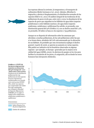 0
1
2
1970 1980 1990 2000 2010
Valordelíndice(1970=1)
Gráfica 17. El IPV de
los peces migratorios
muestra un descenso
del 41% (rango de +12 a
-69%) entre 1970 y 2012.
Tendencia de la abundancia
poblacional de 735
poblaciones de 162 especies
de peces migratorios,
monitoreadas en el mundo
entre 1970 y 2012 (WWF/
ZSL, 2016). Las especies
que comprenden este índice
han sido catalogadas
por el Registro Mundial
de Especies Migratorias
(GROMS, por su sigla en
inglés) como catádromas,
anádromas, potádromas o
anfídromas.
Índice Planeta Vivo
de peces migratorios
Límites de confianza
Convenciones
Capítulo 1: Estado del planeta natural. Página 35
Las represas alteran la corriente, la temperatura y el transporte de
sedimentos (Reidy Liermann et al., 2012). Además, dificultan la
migración y afectan el desplazamiento y la distribución normales de las
especies (Hall et al., 2011). El análisis integral de las tendencias de las
poblaciones de peces revela que, entre 1970 y 2012, la abundancia de las
especies de peces que migraban en los hábitats de agua dulce (especies
potádromas) o entre hábitats marinos y de agua dulce (especies
anádromas, catádromas y anfídromas) ha sufrido, en promedio, una
disminución general del 41% (Gráfica 17), con un declive anual del 1.2%,
en promedio. El índice se basa en 162 especies y 735 poblaciones.
Aunque no se disponía de información sobre las amenazas que
afectaban a muchas poblaciones, de las 226 poblaciones sobre las que
sí se tienen datos, alrededor del 70% está amenazado por la alteración
de sus hábitats. Es probable que esta circunstancia explique el declive
general. A partir de 2006, se aprecia un aumento en varias especies.
Ello podría ser indicativo de los beneficios observados en algunas
regiones –por ejemplo, en Europa– generados por la mejora en la
calidad del agua (AEMA, 2015) y la abertura de pasajes en los ríos para
facilitar la circulación de los peces y la migración, allí en donde los seres
humanos han interpuesto obstáculos.
 