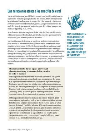 TRES CUARTAS PARTES
DE LOS ARRECIFES DE
CORAL DEL MUNDO
ESTÁN AMENAZADOS
Y LAS ESPECIES QUE
MANTIENEN SUFREN
UNA GRAN PRESIÓN QUE
VA EN AUMENTO
Informe Planeta Vivo 2016. Página 42
El calentamiento de las aguas provoca el
blanqueamiento y la muerte de los corales
en todo el mundo
El blanqueamiento sobreviene cuando a los corales los agobia
una condición inusual, como la elevada temperatura del agua.
Si el agua se calienta demasiado, los corales expulsan las algas
diminutas que viven en sus tejidos y se vuelven completamente
blancos. La tensión generada por el calor puede matar los corales
directa o indirectamente, por hambre o enfermedad (Hoegh-
Guldberg, 1999). En casos graves de blanqueamiento, mueren
extensas franjas de corales constructores de arrecifes.
El blanqueamiento masivo mundial de corales de 2015-2016 –el
tercero jamás registrado– podría ser el más extendido e intenso
de la historia. Impactó a los corales desde Hawái hasta la Gran
Barrera de Coral. También, a los de África y el sudeste asiático
(NOAA, 2016). Los científicos piensan que el cambio climático
provocará estos episodios de blanqueamiento más a menudo
y prevén que se debilitará la capacidad de los corales para
recuperarse entre uno y otro evento (Hoegh-Guldberg, 1999;
Donner et al., 2005; Frieler et al., 2013).
Unamiradamásatentaalosarrecifesdecoral
Los arrecifes de coral son hábitats con una gran biodiversidad y están
localizados en zonas poco profundas del océano. Miles de especies se
benefician de los alimentos, la protección y las zonas de crianza que
proveen los arrecifes (Burke et al., 2011). Aunque ocupan menos del
0.1% del área de los océanos, sustentan más del 25% de las especies
marinas (Spalding et al., 2001).
Actualmente, tres cuartas partes de los arrecifes de coral del mundo
están amenazados (Burke et al., 2011) y las especies que mantienen
sufren una gran presión que va en aumento.
Los científicos advierten que se requieren acciones contundentes
para reducir la concentración de gases de efecto invernadero en la
atmósfera, incluyendo el CO2. De lo contrario, los arrecifes de coral
podrían padecer una extinción masiva para mediados de este siglo,
debido a la expansión y frecuencia del blanqueamiento y la acidificación
(Hoegh-Guldberg, 2015) (ver cuadro). Los arrecifes de coral afrontan
otras amenazas graves que incluyen la sobrepesca y la pesca destructiva
–como la que se efectúa con explosivos y cianuro–, la contaminación
provocada por sedimentos, nutrientes y pesticidas, y el desarrollo
costero.
 