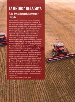 LAHISTORIADELASOYA
3.Lademandamundialamenazael
Cerrado
Rica en energía y proteínas, la soya es un elemento
fundamental de la oferta mundial de alimentos. Se
usa, sobre todo, para la alimentación animal. Debido
a la demanda mundial en alza de productos cárnicos,
la soya se ha convertido en uno de los cultivos más
grandes del globo. Pero su crecimiento ha tenido
un costo. En las últimas décadas, conforme se ha
expandido la producción de soya, se han talado
y desmontado vastas áreas de bosques, sabanas
y pastizales. En total, la superficie terrestre de
Suramérica dedicada al cultivo de soya creció desde 17
millones de hectáreas en 1990, hasta 46 millones de
hectáreas en 2010, sobre todo en hábitats naturales
que se transformaron en zonas agrícolas. Y en tanto
que la producción y la demanda crecen, los bosques
y otros ecosistemas naturales padecen una presión
cada vez más fuerte. Se prevé que la producción de
soya aumentará rápidamente, conforme el progreso
económico eleve el consumo de proteínas de origen
animal, especialmente en los países emergentes y
en desarrollo. Actualmente, el importador principal
de soya –y el que crece más rápido– es China, que
demanda este producto para la alimentación animal
y la producción de aceite de cocina. El consumo
de carne de China aumenta a gran velocidad y las
proyecciones anticipan un incremento pronunciado,
sostenido y duradero de las importaciones de soya, lo
que probablemente intensificará la presión sobre el
Cerrado, la Amazonía, el Chaco y otros ecosistemas
amenazados.
(Fuente: WWF-Brasil; WWF, 2014)
 