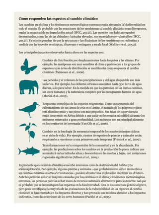 Cómo responden las especies al cambio climático
Los cambios en el clima y los fenómenos meteorológicos extremos están afectando la biodiversidad en
todo el mundo. Es probable que las reacciones de los ecosistemas al cambio climático sean divergentes,
según la magnitud de su degradación actual (IPCC, 2014b). Las especies que habitan espacios
determinados, como las de las altitudes y latitudes elevadas, son especialmente vulnerables (IPCC,
2014b). Ya existen pruebas de que la estructura y las dinámicas de los ecosistemas se rediseñan a
medida que las especies se adaptan, dispersan o extinguen a escala local (Walther et al., 2002).
Los principales impactos observados hasta ahora en las especies son:
		Cambios de distribución por desplazamientos hacia los polos y las alturas. Por
ejemplo, las mariposas son muy sensibles al clima y pertenecen a los grupos de
especies cuyas áreas de distribución se modificarán como respuesta al cambio
climático (Parmesan et al., 2006).
		Los periodos y el volumen de las precipitaciones y del agua disponible son más
inciertos. Por ejemplo, los elefantes africanos necesitan hasta 300 litros de agua
diarios, solo para beber. En la medida en que los patrones de las lluvias cambian,
los seres humanos y la naturaleza compiten por las menguantes fuentes de agua
(Mariki et al., 2015).
		Respuestas complejas de las especies migratorias. Como consecuencia del
calentamiento de sus áreas de cría en el Ártico, el tamaño de los playeros rojizos
está disminuyendo y sus picos son más pequeños. Sus tasas de supervivencia
están decayendo en África debido a que cada vez les resulta más difícil alcanzar los
moluscos enterrados a gran profundidad. Los moluscos son su principal alimento
en los territorios de invernada (Van Gils et al., 2016).
		Cambios en la fenología (la secuencia temporal de los acontecimientos cíclicos
en el ciclo de vida). Por ejemplo, cientos de especies de plantas y animales están
empezando a reaccionar a una primavera más temprana (Primack et al., 2009).
		Transformaciones en la composición de la comunidad y en la abundancia. Por
ejemplo, las predicciones sobre los cambios en la producción de peces indican que
aumentará en las latitudes altas y descenderá en las medias y bajas, con variaciones
regionales significativas (Allison et al., 2009).
Es probable que el cambio climático exacerbe amenazas como la destrucción del hábitat y la
sobreexplotación. Por ejemplo, algunas plantas y animales –que probablemente serían resilientes a
un cambio climático en otras circunstancias– pueden afrontar una explotación creciente en el futuro.
Ante las penurias cada vez mayores causadas por los cambios en el clima y fenómenos meteorológicos
extremos, las personas podrían echar mano de recursos naturales alternativos para sostenerse. Así que
es probable que se intensifiquen los impactos en la biodiversidad. Esta es una amenaza potencial grave,
pero poco investigada: la mayoría de las evaluaciones de la vulnerabilidad de las especies al cambio
climático se han centrado en los impactos directos y han prestado una mínima atención a los impactos
indirectos, como las reacciones de los seres humanos (Pacifici et al., 2015).
 