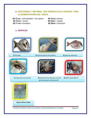 “TODO ES VENENO, NADA ES VENENO, TODO DEPENDE DE LADOSIS” Página3
08:15 am = administration 7ml cadmio 08:18 am =diarrea
0...