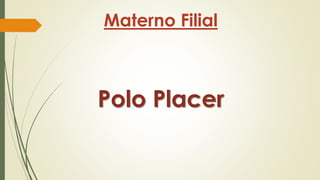 Materno Filial

Polo Placer

 