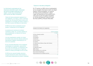. Espacios naturales protegidos

    La información aportada por los                        En 77 tramos (un 60% de los muestreados)
    voluntarios desvela la gran diversidad                 se ha recogido información dentro de algún
    de tramos fluviales presentes en la                    espacio natural protegido. La mayoría
    región, si bien hay características                    de estos puntos pertenecen a algún
    que muchos de ellos comparten.                         Lugar de Importancia Comunitaria (LIC),
                                                           a los que se unen los datos recogidos
       . Todos los tramos presentan vegetación en          en Zonas de Especial Protección para
         sus márgenes, con mayor o menor cobertura,        las Aves (ZEPA) y Parques Naturales.
         excepto dos. Se trata del Praves (cuenca del
         Campiazo), en el pueblo del mismo nombre, y
         del Otero (cuenca del Miera) en Sancibrián.

       . El 80% de los tramos analizados poseen
         prados o herbáceas en sus márgenes.
                                                           número de tramos en espacios
       . La presencia de caminos en la ribera
         (camberas, pistas, etc.) se hace patente en,                                                  espacio protegido
         aproximadamente, la mitad de los tramos                                                                nº tramos
         muestreados.                                      LIC Río y Embalse del Ebro		                               18
                                                           LIC Río Pas		                                              14
       . Los ríos muestreados cuentan con zonas            LIC Río Miera		                                             9
         accesibles para personas (desde sendas de         LIC Río Asón		                                              7
         pescadores a lugares cementados) en un            LIC Río Camesa		                                            5
         tercio de ocasiones.                              LIC Liébana		                                               5
                                                           LIC Valles altos del Nansa y Saja y Alto Campoo	            4
       . El uso principal detectado en las márgenes        LIC Río Saja		                                              3
         examinadas es el ganadero, apareciendo            LIC Río Deva		                                              3
         en el 70% de ocasiones. Los siguientes más        LIC Montaña Oriental		                                      1
         frecuentes son el residencial y el agrícola,      ZEPA Liébana		                                              2
         ambos en similar porcentaje en torno al 35%.      ZEPA Desfiladero de La Hermida	                             1
                                                           Parque Natural Saja-Besaya	                                 4
       . El 20% de los cauces fluviales donde se           Parque Natural de los Collados del Asón	                    1
         recogió información tienen interrumpida su                                                                   77
         continuidad longitudinal por presas o represas.




                                                                   intro    acti    parti    infor      infor   ane
                                                                    duc     vida    cipa     me         me
                                                                                                                xos
informe anual 2012                                                 ción     des     ción
                                                                                             2012
                                                                                                        2012                16
 