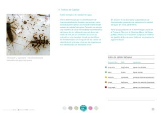 . 4 . Índices de Calidad

                                                    . Índice biológico de calidad del agua

                                                    . Viene determinado por la identificación de           . En función de la diversidad y abundancia de
                                                      macroinvertebrados fluviales que actúan como           invertebrados presentes se categoriza la calidad
                                                      bioindicadores dando una medida indirecta del          del agua en cinco parámetros.
                                                      estado de calidad del agua. Para ello, se recoge
                                                      una muestra de cada microhábitat representativo      . Para la equiparación de la terminología usada en
                                                      del tramo de río, utilizando una red de luz de         el Proyecto Ríos con la Directiva Marco del Agua
                                                      malla de 500 µm. El contenido de la red es             (DMA), referencia en la Unión Europea en materia
                                                      volcado en una bandeja, donde se identifican           de gestión de los recursos hídricos, se propone la
                                                      los invertebrados con la ayuda de las claves de        siguiente tabla:
                                                      identificación y la lupa. Una vez los organismos
                                                      son identificados se devuelven al río.




    “Gusarapín” y “gusarapa”, macroinvertebrados                                                         índice de calidad del agua
    indicadores de agua muy buena.
                                                                                                         Proyecto Ríos	   DMA	          significado


                                                                                                         muy sano	        muy buena	    aguas muy limpias


                                                                                                         sano	            buena	        aguas limpias


                                                                                                         enfermo	         moderada	     primeros síntomas de afección


                                                                                                         grave	           deficiente	   aguas con afección importante


                                                                                                         muy grave	       mala	         aguas muy deterioradas




                                                         intro   acti   parti   infor   infor   ane
                                                          duc    vida   cipa    me      me
                                                                                                xos
informe anual 2012                                       ción    des    ción
                                                                                2012
                                                                                        2012                                                                     23
 