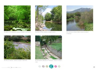 Río Miera en la Angustina, estado ecológico muy bueno.   Río Asón en Riva, estado ecológico bueno.              Río Camesa en Santa Olalla, estado ecológico
                                                                                                                    moderado.




    Río Pas en Salcedo, estado ecológico deficiente.         Río Rumardero (Besaya) en Pesquera, estado ecológico
                                                             malo.


                                                                    intro   acti   parti   infor    infor   ane
                                                                     duc    vida   cipa    me       me
                                                                                                            xos
informe anual 2012                                                  ción    des    ción
                                                                                           2012
                                                                                                    2012                                                           30
 