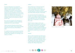 . Peces                                              . Anfibios

       . Se obtuvo información de un total de 9             . Se han detectado un total de 9 especies,
         especies en 2012. Son reseñables los datos           5 anuros (sin cola) y 4 urodelos (con
         relativos al salmón atlántico, con datos             cola). La salamandra común ha aparecido
         recogidos en la campaña de primavera en              bien distribuida, citándose en muestreos
         los ríos Pas y Pisueña, y en la campaña de           correspondientes a todas las cuencas excepto
         otoño en la cuenca del Deva. La trucha común         las de Asón, Miera, Pisueña y Costa Oeste.
         resultó ser la especie piscícola con más amplia
         distribución, habiendo sido detectada en           . Las citas de tritones han resultado más
         todas y cada unas de las cuencas fluviales de        escasas, con el alpino únicamente registrado
         Cantabria, siendo la única especie en que se         en las cuencas del Ebro y Miera. El palmeado
         da este caso.                                        se ha detectado en las cuencas del Ebro,
                                                              Miera y Pas, y el jaspeado en el Campiazo,
       . En el caso de la anguila se ha detectado su          Ebro y Pas.
         presencia en todas las cuencas cantábricas,
         exceptuando en la costa occidental.                . Entre los anuros, el sapo común, sapo
                                                              partero común, rana bermeja y rana común,
       . Llama la atención la presencia desde hace            han resultado frecuentes por casi todas las
         unos años del muble o mule en tramos fluviales       cuencas. En el caso de la rana patilarga,       Puesta de sapo común en el Miera.
         medios de los ríos como el Pas, Besaya o             incluida en el Catálogo Regional de Especies
         Asón.                                                Amenazadas en Cantabria, se ha registrado
                                                              únicamente su presencia en la cuenca del
       . En cuanto a la presencia de especies exóticas        Ebro.
         introducidas, se ha citado la trucha arcoíris en
         la cuenca del río Besaya, en la del Saja, Costa    . Reptiles
         Oeste y en el Ebro.
                                                            . Se han citado únicamente dos especies de
                                                              este grupo: la culebra de collar y la culebra
                                                              viperina. La primera de las especies se ha
                                                              citado en las cuencas del Campiazo, Miera,
                                                              Pas, Besaya, Saja y Deva, mientras que la
                                                              culebra viperina fue registrada en las del
                                                              Camesa, Pas, Besaya, Saja y Deva.




                                                                 intro   acti   parti   infor   infor   ane
                                                                  duc    vida   cipa    me      me
                                                                                                        xos
informe anual 2012                                               ción    des    ción
                                                                                        2012
                                                                                                2012                                              34
 