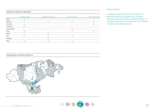 . Fauna alóctona
     presencia de fauna alóctona
                                                                                                                        . La labor de inspección de los voluntarios ha
                     Cangrejo Señal   Cangrejo Americano            Trucha Arcoiris                   Visón Americano     permitido detectar la presencia de diversas
     Asón	                 x				                                                                                          especies de fauna exótica en algunos tramos. En
     Besaya                x		x	                                          x	                                x	            el mapa puede verse la localización de los tramos
     Camesa                x				                                                                            x             con alguna de éstas especies.
     Campiazo              x				
     Costa Oeste           			                                            x	
     Ebro                  x			                                           x	                                x
     Miera                 x		x		
     Pas                   x		x	                                          x		
     Pisueña               		x			
     Saja                  x		x	                                          x




    localización de fauna alóctona




                                                           intro   acti    parti      infor   infor      ane
                                                            duc    vida    cipa       me      me
                                                                                                         xos
informe anual 2012                                         ción    des     ción
                                                                                      2012
                                                                                              2012                                                                      37
 