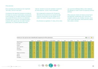 . Flora alóctona

       . En la campaña de primavera se han registrado               Además, también se pone de manifiesto la aparición              . Las cuencas del Besaya, Miera y Asón destacan
         105 citas y 103 en la de otoño.                            de otras especies , a priori, menos habituales.                   por albergar un mayor número de especies exóticas
                                                                                                                                      distintas.
       . La presencia de especies foráneas se evidencia              . Se ha detectado la presencia de 18 especies
         en todas las cuencas muestreadas, exceptuando                 diferentes de flora alóctona, la mayoría de ellas            . Otras especies citadas de manera puntual fueron
         la del Camesa. En los datos remitidos se observa              invasoras. Entre estas, las más citadas son el                 las siguientes: tradescantia, pino, saúce llorón,
         que existen 84 tramos donde se ha detectado                   plátano de sombra, humagón, bambú y juncia.                    margarita mejicana, aro, budleya, secuoya, vinca,
         la presencia de, al menos, una especie exótica                                                                               té de cuneta, falso laurel, roble americano, ailanto,
         invasora. Esto supone que, de cada 3 tramos                 . En primavera se registraron 21 citas y 23 en otoño.            falso ciprés y mimosa.
         analizados, en 2 existen plantas alóctonas.




                             tramos en los que se han identificado especies de flora alóctona                                                                                  primavera          otoño



                                                             Asón       Besaya       Campiazo    Costa Oeste      Deva       Ebro          Miera         Pas         Pisueña               Saja
                             Falsa Acacia               2	          3	5	3		 1					 1	1	5	1	3	2		 1		 1	
                             Eucalipto                  2	          4	4	2	1	1			1				4	4	5	4			2	3	
                             Elodea                     1													2			1	1		
                             Junco Japonés              3	          3	5	4	1									1	1				2	3	
                             Plumero                    2	          4	5	5	1	1		 1					 5	5	2	3	3	2	2	4	
                             Crocosmia                  		4	1		1		2					2	1	1	3		1	1	2	


                             Plátano de Sombra          1	2	1	1									1	1						1
                             Juncia                     		1					1								2		1
                             Bambú                      1		1										1			1
                             Humagón                    							1						1		1		1		




                                                                          intro   acti   parti   infor    infor   ane
                                                                           duc    vida   cipa    me       me
                                                                                                                  xos
informe anual 2012                                                        ción    des    ción
                                                                                                 2012
                                                                                                          2012                                                                                    39
 