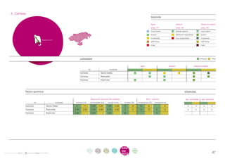 . 3 . Camesa
                                                                                                                                                       leyenda

                                                                                                                                                       agua	                        bosque	                         estado ecológico
                                                                                                                                                       (pag. 21)	                   (pag. 24)	                      (pag. 26)
                                                                                                                                                       muy buena	                   estado óptimo	                  muy bueno
                                                                                                                                                       buena	                       alteración importante	bueno
                                                                                                                                                       moderada	                    muy degradado	                  moderado
                                    Mataporquera
                                                                                                                                                       deficiente		                                                 deficiente
                                                                                                                                                       mala		                                                       malo




                                                                    calidades                                                                                                                                      primavera 	    otoño



                                                                                                                                          agua                             bosque                         estado ecológico
                                                                              río                           localidad
                                                                    Camesa                       Santa Olalla
                                                                    Camesa                       Reinosilla
                                                                    Camesa                       Espinosa




                     físico-química                                                                                                                                                              especies

                                                                                    descripción del punto de muestreo                            físico - química                                esp. protegidas     esp. alóctonas
                              río                  localidad    anchura (m)      profundidad (m)        caudal (m3/s)     sombra (%)    temperatura (ºC)   transparencia                           						
                     Camesa             Santa Olalla           	6	      11	 0,25	0,20	 1,20	0,59	 10	 10	 13	                                       6		              4		                           	x	      x	         x	        x		
                     Camesa             Reinosilla             	
                                                               3,40	 3,30	 0,40	0,80	 0,16	0,50	 5	                               0	     14	 12	               4	    4		                           x	 x	 x	x	
                     Camesa             Espinosa               	
                                                               3,30		 0,20		 1,32		 45				 4	
                                                               						




                                                                              intro       acti      parti       infor   infor     ane
                                                                               duc        vida      cipa        me      me        xos
informe anual 2012                                                            ción        des       ción        2012
                                                                                                                        2012                                                                                                      47
 