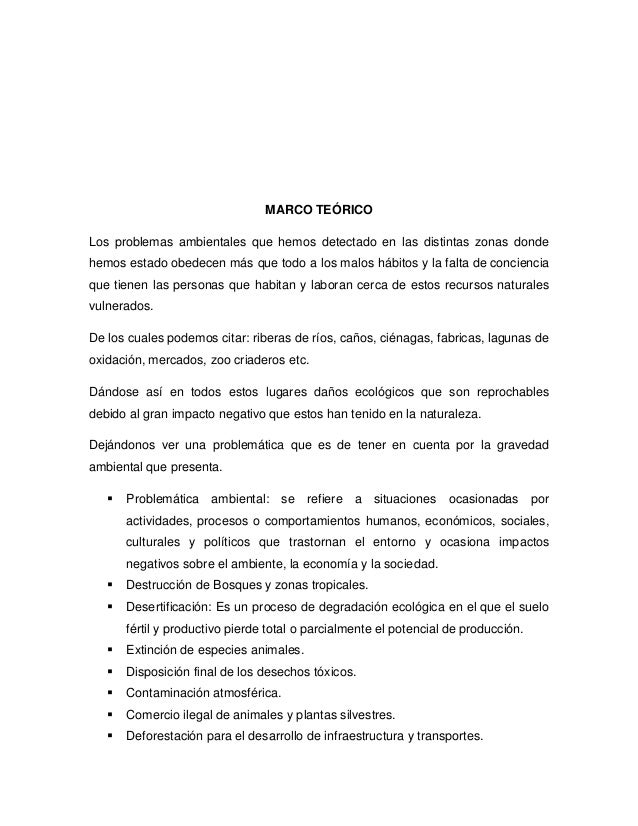 Informe practica de campo problemática ambiental