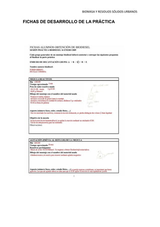Obtención de Biodiesel