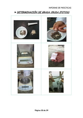 INFORME DE PRÁCTICAS
Página 50 de 59
►DETERMINACIÓN DE GRASA CRUDA (FOTOS)
 