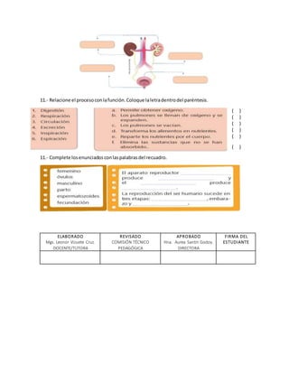 11.- Relacione el procesoconlafunción.Coloque laletradentrodel paréntesis.
( )
( )
( )
( )
( )
( )
11.- Complete losenunciadosconlaspalabrasdel recuadro.
ELABORADO
Mgs. Leonor Vizuete Cruz.
DOCENTE/TUTORA
REVISADO
COMISIÓN TÉCNICO
PEDAGÓGICA
APROBADO
Hna. Aurea Santín Godoy.
DIRECTORA
FIRMA DEL
ESTUDIANTE
 