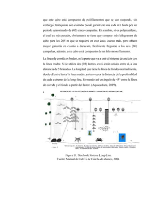 que este cabo está compuesto de polifilamentos que se van raspando, sin
embargo, trabajando con cuidado puede garantizar una vida útil hasta por un
periodo aproximado de (05) cinco campañas. En cambio, si es polipropileno,
el cual es más pesado, obviamente se tiene que comprar más kilogramos de
cabo para los 205 m que se requiere en este caso, cuesto más, pero ofrece
mayor garantía en cuanto a duración, fácilmente llegando a los seis (06)
campañas, además, este cabo está compuesto de un hilo monofilamento.
La línea de corrida o fondeo, es la parte que va a unir al sistema de anclaje con
la línea madre. Si se utiliza dos (02) lastres, estos están unidos entre sí, a una
distancia de 5 brazadas. La longitud que tiene la línea de fondeo normalmente,
desde el lastre hasta In línea madre, es tres veces la distancia de la profundidad
de cada extremo de la long-line, formando así un ángulo de 45° entre la línea
de corrida y el fondo a partir del lastre. (Aquaculture, 2019).
Figura 11. Diseño de Sistema Long-Line
Fuente: Manual de Cultivo de Concha de abanico, 2004
 