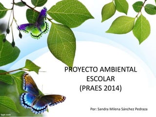 PROYECTO AMBIENTAL 
ESCOLAR 
(PRAES 2014) 
Por: Sandra Milena Sánchez Pedraza 
 