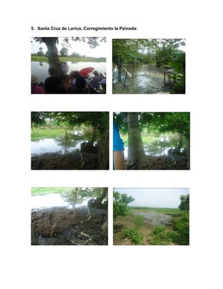 5. Santa Cruz de Lorica, Corregimiento la Peinada:

 
