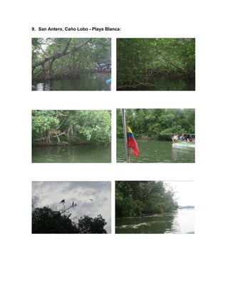 9. San Antero, Caño Lobo - Playa Blanca:

 