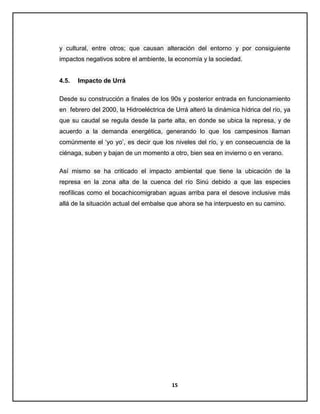 y cultural, entre otros; que causan alteración del entorno y por consiguiente
impactos negativos sobre el ambiente, la economía y la sociedad.

4.5.

Impacto de Urrá

Desde su construcción a finales de los 90s y posterior entrada en funcionamiento
en febrero del 2000, la Hidroeléctrica de Urrá alteró la dinámica hídrica del río, ya
que su caudal se regula desde la parte alta, en donde se ubica la represa, y de
acuerdo a la demanda energética, generando lo que los campesinos llaman
comúnmente el „yo yo‟, es decir que los niveles del río, y en consecuencia de la
ciénaga, suben y bajan de un momento a otro, bien sea en invierno o en verano.
Así mismo se ha criticado el impacto ambiental que tiene la ubicación de la
represa en la zona alta de la cuenca del río Sinú debido a que las especies
reofílicas como el bocachicomigraban aguas arriba para el desove inclusive más
allá de la situación actual del embalse que ahora se ha interpuesto en su camino.

15

 