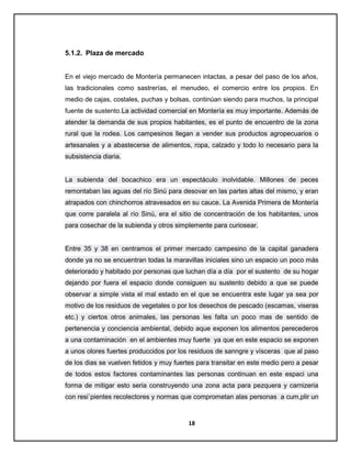 5.1.2. Plaza de mercado

En el viejo mercado de Montería permanecen intactas, a pesar del paso de los años,
las tradicionales como sastrerías, el menudeo, el comercio entre los propios. En
medio de cajas, costales, puchas y bolsas, continúan siendo para muchos, la principal
fuente de sustento.La actividad comercial en Montería es muy importante. Además de
atender la demanda de sus propios habitantes, es el punto de encuentro de la zona
rural que la rodea. Los campesinos llegan a vender sus productos agropecuarios o
artesanales y a abastecerse de alimentos, ropa, calzado y todo lo necesario para la
subsistencia diaria.

La subienda del bocachico era un espectáculo inolvidable. Millones de peces
remontaban las aguas del río Sinú para desovar en las partes altas del mismo, y eran
atrapados con chinchorros atravesados en su cauce. La Avenida Primera de Montería
que corre paralela al río Sinú, era el sitio de concentración de los habitantes, unos
para cosechar de la subienda y otros simplemente para curiosear.

Entre 35 y 38 en centramos el primer mercado campesino de la capital ganadera
donde ya no se encuentran todas la maravillas iniciales sino un espacio un poco más
deteriorado y habitado por personas que luchan día a día por el sustento de su hogar
dejando por fuera el espacio donde consiguen su sustento debido a que se puede
observar a simple vista el mal estado en el que se encuentra este lugar ya sea por
motivo de los residuos de vegetales o por los desechos de pescado (escamas, viseras
etc.) y ciertos otros animales, las personas les falta un poco mas de sentido de
pertenencia y conciencia ambiental, debido aque exponen los alimentos perecederos
a una contaminación en el ambientes muy fuerte ya que en este espacio se exponen
a unos olores fuertes produccidos por los residuos de sanngre y vísceras que al paso
de los dias se vuelven fetidos y muy fuertes para transitar en este medio pero a pesar
de todos estos factores contaminantes las personas continuan en este espaci una
forma de mitigar esto seria construyendo una zona acta para pezquera y carnizeria
con resi`pientes recolectores y normas que comprometan alas personas a cum,plir un

18

 