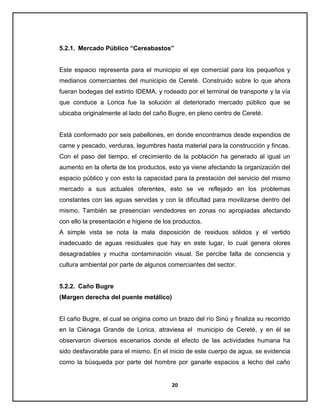 5.2.1. Mercado Público “Cereabastos”

Este espacio representa para el municipio el eje comercial para los pequeños y
medianos comerciantes del municipio de Cereté. Construido sobre lo que ahora
fueran bodegas del extinto IDEMA, y rodeado por el terminal de transporte y la vía
que conduce a Lorica fue la solución al deteriorado mercado público que se
ubicaba originalmente al lado del caño Bugre, en pleno centro de Cereté.

Está conformado por seis pabellones, en donde encontramos desde expendios de
carne y pescado, verduras, legumbres hasta material para la construcción y fincas.
Con el paso del tiempo, el crecimiento de la población ha generado al igual un
aumento en la oferta de los productos, esto ya viene afectando la organización del
espacio público y con esto la capacidad para la prestación del servicio del mismo
mercado a sus actuales oferentes, esto se ve reflejado en los problemas
constantes con las aguas servidas y con la dificultad para movilizarse dentro del
mismo. También se presencian vendedores en zonas no apropiadas afectando
con ello la presentación e higiene de los productos.
A simple vista se nota la mala disposición de residuos sólidos y el vertido
inadecuado de aguas residuales que hay en este lugar, lo cual genera olores
desagradables y mucha contaminación visual. Se percibe falta de conciencia y
cultura ambiental por parte de algunos comerciantes del sector.

5.2.2. Caño Bugre
(Margen derecha del puente metálico)

El caño Bugre, el cual se origina como un brazo del río Sinú y finaliza su recorrido
en la Ciénaga Grande de Lorica, atraviesa el municipio de Cereté, y en él se
observaron diversos escenarios donde el efecto de las actividades humana ha
sido desfavorable para el mismo. En el inicio de este cuerpo de agua, se evidencia
como la búsqueda por parte del hombre por ganarle espacios a lecho del caño

20

 
