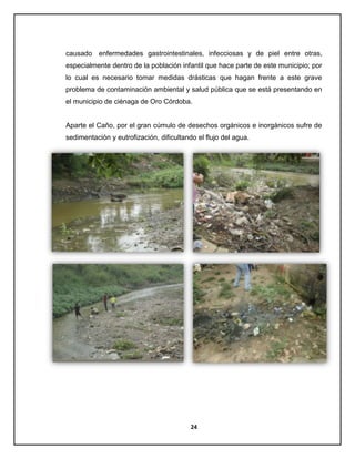 causado enfermedades gastrointestinales, infecciosas y de piel entre otras,
especialmente dentro de la población infantil que hace parte de este municipio; por
lo cual es necesario tomar medidas drásticas que hagan frente a este grave
problema de contaminación ambiental y salud pública que se está presentando en
el municipio de ciénaga de Oro Córdoba.

Aparte el Caño, por el gran cúmulo de desechos orgánicos e inorgánicos sufre de
sedimentación y eutrofización, dificultando el flujo del agua.

Juan jose fuentes

24

 