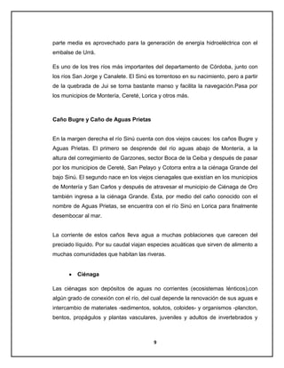 parte media es aprovechado para la generación de energía hidroeléctrica con el
embalse de Urrá.
Es uno de los tres ríos más importantes del departamento de Córdoba, junto con
los ríos San Jorge y Canalete. El Sinú es torrentoso en su nacimiento, pero a partir
de la quebrada de Jui se torna bastante manso y facilita la navegación.Pasa por
los municipios de Montería, Cereté, Lorica y otros más.

Caño Bugre y Caño de Aguas Prietas

En la margen derecha el río Sinú cuenta con dos viejos cauces: los caños Bugre y
Aguas Prietas. El primero se desprende del río aguas abajo de Montería, a la
altura del corregimiento de Garzones, sector Boca de la Ceiba y después de pasar
por los municipios de Cereté, San Pelayo y Cotorra entra a la ciénaga Grande del
bajo Sinú. El segundo nace en los viejos cienagales que existían en los municipios
de Montería y San Carlos y después de atravesar el municipio de Ciénaga de Oro
también ingresa a la ciénaga Grande. Ésta, por medio del caño conocido con el
nombre de Aguas Prietas, se encuentra con el río Sinú en Lorica para finalmente
desembocar al mar.

La corriente de estos caños lleva agua a muchas poblaciones que carecen del
preciado líquido. Por su caudal viajan especies acuáticas que sirven de alimento a
muchas comunidades que habitan las riveras.

Ciénaga
Las ciénagas son depósitos de aguas no corrientes (ecosistemas lénticos),con
algún grado de conexión con el río, del cual depende la renovación de sus aguas e
intercambio de materiales -sedimentos, solutos, coloides- y organismos -plancton,
bentos, propágulos y plantas vasculares, juveniles y adultos de invertebrados y

9

 
