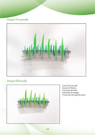 60
Imagen Escaneada
Imagen Retocada
Corrección de color.
Ajustes de Niveles
Correción de fondo
Intensidad de Imagen
Correccion de imperfecciones.
 