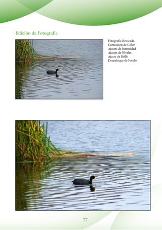 77
Fotografía Retocada.
Corrección de Color
Ajustes de Intensidad
Ajustes de Niveles
Ajuste de Brillo
Desenfoque de Fondo
Edición de Fotografía
 