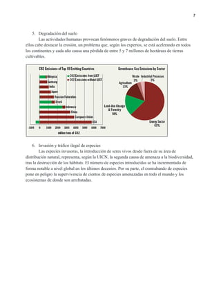 7
5. Degradación del suelo
Las actividades humanas provocan fenómenos graves de degradación del suelo. Entre
ellos cabe destacar la erosión, un problema que, según los expertos, se está acelerando en todos
los continentes y cada año causa una pérdida de entre 5 y 7 millones de hectáreas de tierras
cultivables.
6. Invasión y tráfico ilegal de especies
Las especies invasoras, la introducción de seres vivos desde fuera de su área de
distribución natural, representa, según la UICN, la segunda causa de amenaza a la biodiversidad,
tras la destrucción de los hábitats. El número de especies introducidas se ha incrementado de
forma notable a nivel global en los últimos decenios. Por su parte, el contrabando de especies
pone en peligro la supervivencia de cientos de especies amenazadas en todo el mundo y los
ecosistemas de donde son arrebatadas.
 