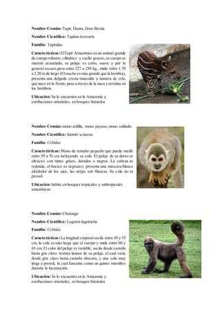Nombre Común: Tapir, Danta, Gran Bestia
Nombre Científico: Tapirus terrestris
Familia: Tapiridae
Características:ElTapir Amazónico esun animal grande
de cuerpo robusto, cilíndrico y cuello grueso, su cuerpo es
marrón acanelado, su pelaje es corto, suave y por lo
general escaso,pesa entre 227 a 250 kg., mide entre 1.70
a 2.20 m de largo (Elmacho esmás grande que la hembra),
presenta una delgada cresta muscular a manera de crin,
que nace en la frente,pasa a través de la nuca y termina en
los hombros.
Ubicación: Se lo encuentra en la Amazonía y
estribaciones orientales, en bosques húmedos
Nombre Común: mono ardilla, mono payaso, mono soldado.
Nombre Científico: Saimiri sciureus
Familia: Cebidae
Características:Mono de tamaño pequeño que puede medir
entre 59 a 76 cm incluyendo su cola. El pelaje de su dorso es
oliváceo con tintes grises, dorados o negros. La cabeza es
redonda, el hocico es negruzco; presenta una máscara blanca
alrededor de los ojos; las orejas son blancas. Su cola no es
prensil.
Ubicación: habita en bosques tropicales y subtropicales
amazónicos.
Nombre Común: Chorongo
Nombre Científico: Lagotrix lagotricha
Familia: Cebidae
Características:La longitud corporal oscila entre 45 y 55
cm, la cola es más larga que el cuerpo y mide entre 60 y
65 cm; El color del pelaje es variable, oscila desde castaño
hasta gris claro. textura lanosa de su pelaje, el cual varía
desde gris claro hasta castaño obscuro, y una cola muy
larga y prensil, la cual funciona como un quinto miembro
durante la locomoción.
Ubicación: Se lo encuentra en la Amazonía y
estribaciones orientales, en bosques húmedos
 