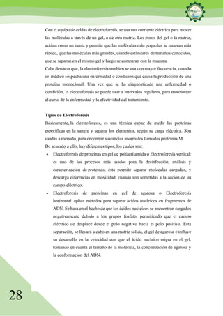 28
Con el equipo de celdas de electroforesis, se usa una corriente eléctrica para mover
las moléculas a través de un gel, o de otra matriz. Los poros del gel o la matriz,
actúan como un tamiz y permite que las moléculas más pequeñas se muevan más
rápido, que las moléculas más grandes, usando estándares de tamaños conocidos,
que se separan en el mismo gel y luego se comparan con la muestra.
Cabe destacar que, la electroforesis también se usa con mayor frecuencia, cuando
un médico sospecha una enfermedad o condición que causa la producción de una
proteína monoclonal. Una vez que se ha diagnosticado una enfermedad o
condición, la electroforesis se puede usar a intervalos regulares, para monitorear
el curso de la enfermedad y la efectividad del tratamiento.
Tipos de Electroforesis
Básicamente, la electroforesis, es una técnica capaz de medir las proteínas
específicas en la sangre y separar los elementos, según su carga eléctrica. Son
usadas a menudo, para encontrar sustancias anormales llamadas proteínas M.
De acuerdo a ello, hay diferentes tipos, los cuales son:
• Electroforesis de proteínas en gel de poliacrilamida o Electroforesis vertical:
es uno de los procesos más usados para la desinfección, análisis y
caracterización de proteínas, ésta permite separar moléculas cargadas, y
descarga diferencias en movilidad, cuando son sometidas a la acción de un
campo eléctrico.
• Electroforesis de proteínas en gel de agarosa o Electroforesis
horizontal: aplica métodos para separar ácidos nucleicos en fragmentos de
ADN. Se basa en el hecho de que los ácidos nucleicos se encuentran cargados
negativamente debido a los grupos fosfato, permitiendo que el campo
eléctrico de desplace desde el polo negativo hacia el polo positivo. Esta
separación, se llevará a cabo en una matriz sólida, el gel de agarosa e influye
su desarrollo en la velocidad con que el ácido nucleico migra en el gel,
tomando en cuenta el tamaño de la molécula, la concentración de agarosa y
la conformación del ADN.
 