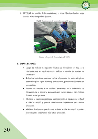 30
7. RETIRAR los tornillos de los sujetadores y el peine. Al quitar el peine, tenga
cuidado de no estropear los pocillos.
Fig. 22 – Funcionamiento de la electroforesis en gel de agarosa
Fuente: Laboratorio de Biotecnología de la UNAM
4. CONCLUSIONES
• Luego de realizar la siguiente practica de laboratorio se llega a la
conclusión que se logró reconocer, analizar y manejar los equipos de
laboratorio
• Todos los materiales presentes en los laboratorios de biotecnología se
deben manipular según normas y precauciones, para evitar accidentes en
las practicas.
• Además de acuerdo a los equipos observados en el laboratorio de
Biotecnología se concluye que cuenta con buenos equipos para realizar
diversas investigaciones.
• Mediante la siguiente practica de reconocimiento de equipos que se llevó
a cabo se amplió y genero conocimientos importantes para futuras
aplicación.
• Mediante la siguiente practica que se llevó a cabo se amplió y genero
conocimientos importantes para futura aplicación.
 
