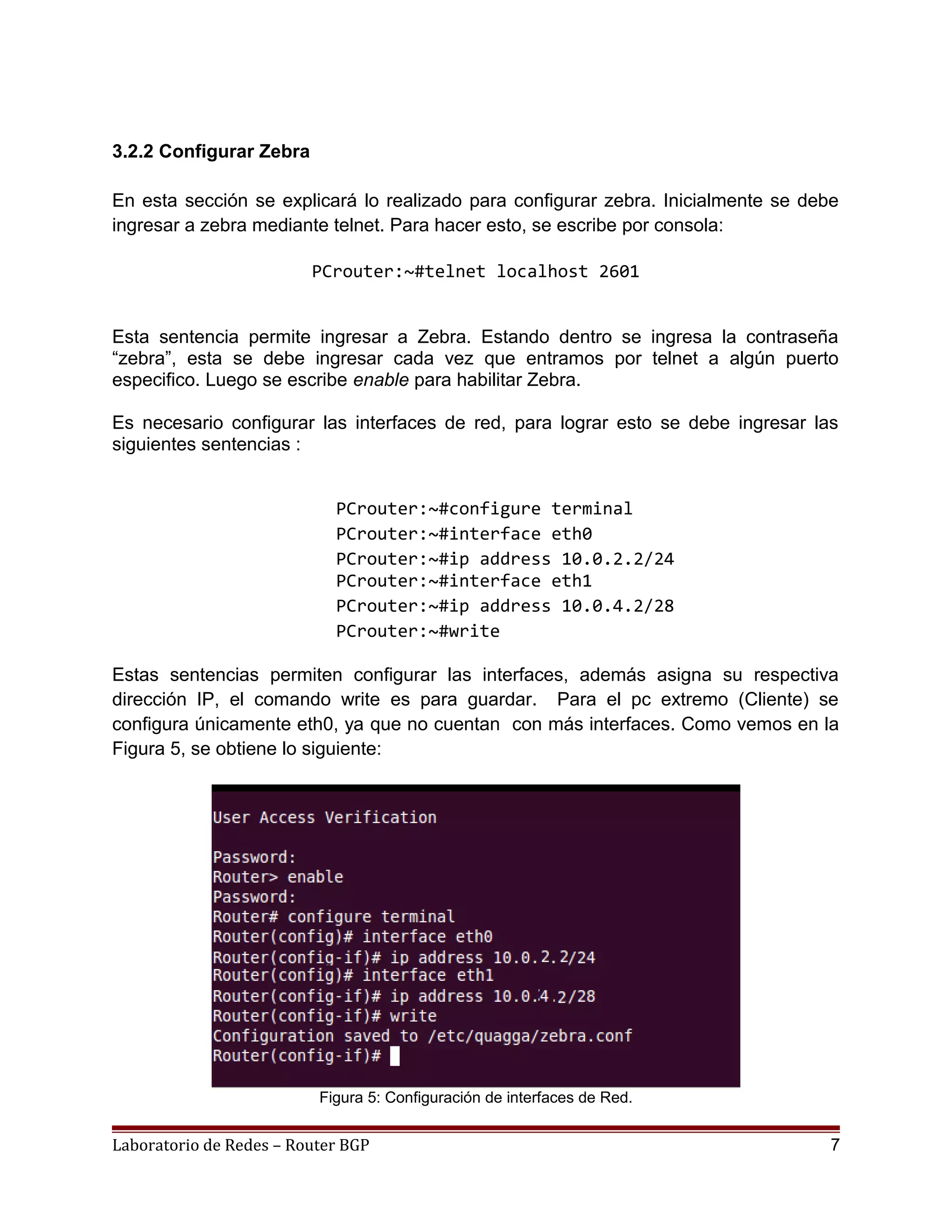 3.2.2 Configurar Zebra
En esta sección se explicará lo realizado para configurar zebra. Inicialmente se debe
ingresar a zebra mediante telnet. Para hacer esto, se escribe por consola:
PCrouter:~#telnet localhost 2601
Esta sentencia permite ingresar a Zebra. Estando dentro se ingresa la contraseña
“zebra”, esta se debe ingresar cada vez que entramos por telnet a algún puerto
especifico. Luego se escribe enable para habilitar Zebra.
Es necesario configurar las interfaces de red, para lograr esto se debe ingresar las
siguientes sentencias :
PCrouter:~#configure terminal
PCrouter:~#interface eth0
PCrouter:~#ip address 10.0.2.2/24
PCrouter:~#interface eth1
PCrouter:~#ip address 10.0.4.2/28
PCrouter:~#write
Estas sentencias permiten configurar las interfaces, además asigna su respectiva
dirección IP, el comando write es para guardar. Para el pc extremo (Cliente) se
configura únicamente eth0, ya que no cuentan con más interfaces. Como vemos en la
Figura 5, se obtiene lo siguiente:
Figura 5: Configuración de interfaces de Red.
Laboratorio de Redes – Router BGP 7
 