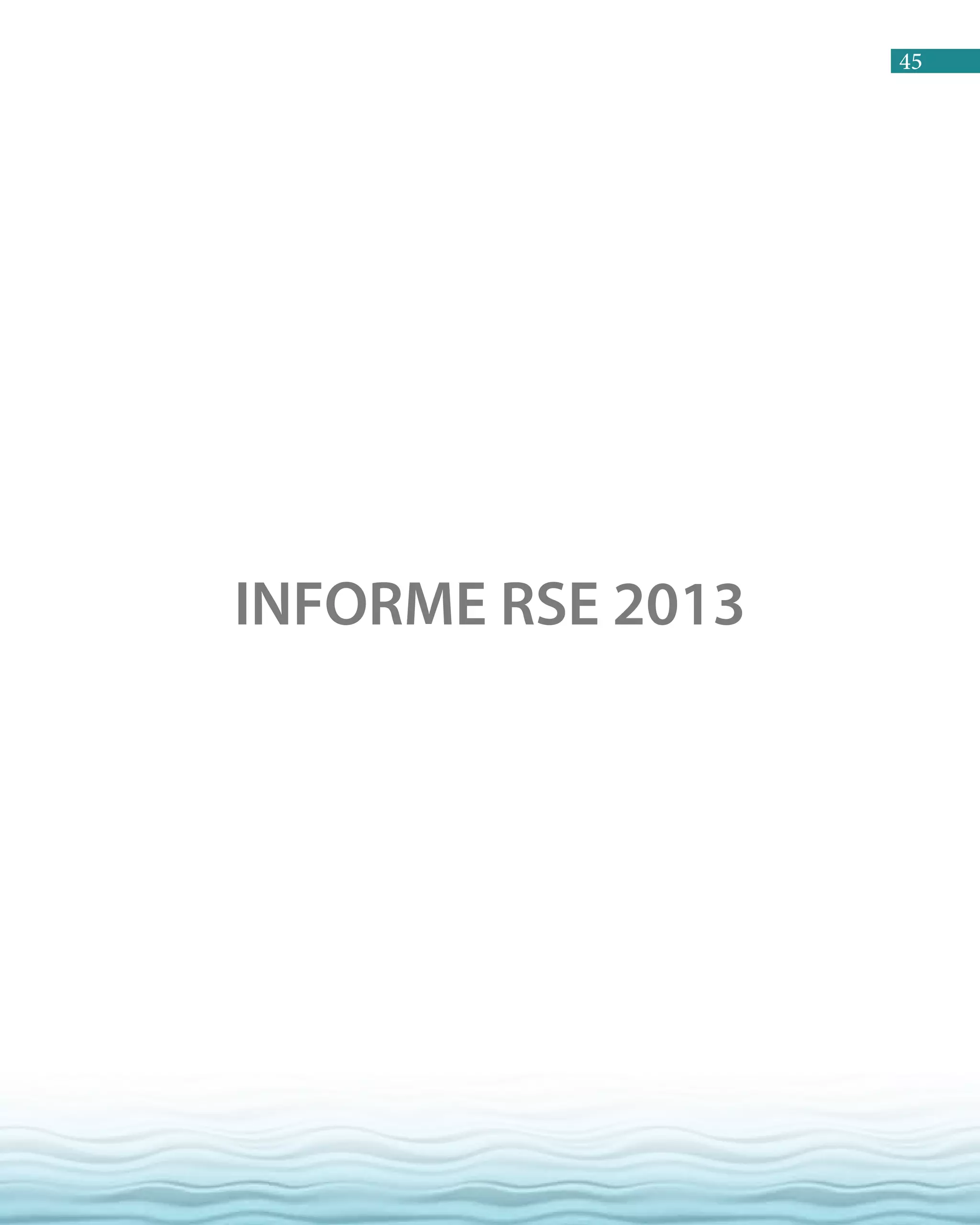 45
INFORME RSE 2013
 